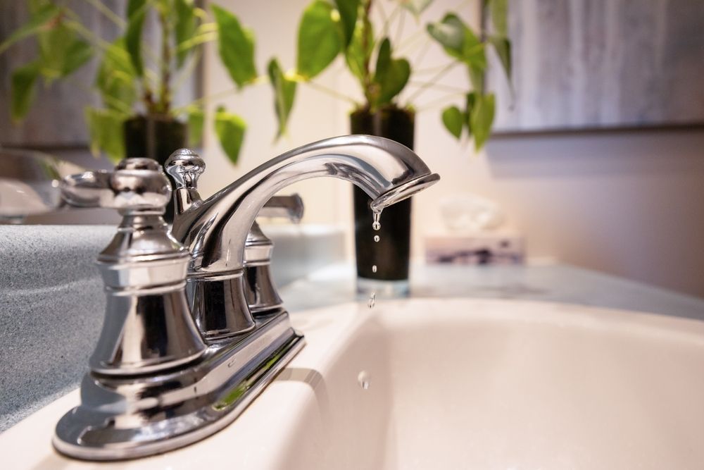 Chrome bathroom faucet over white sink with blurred green plant in the background