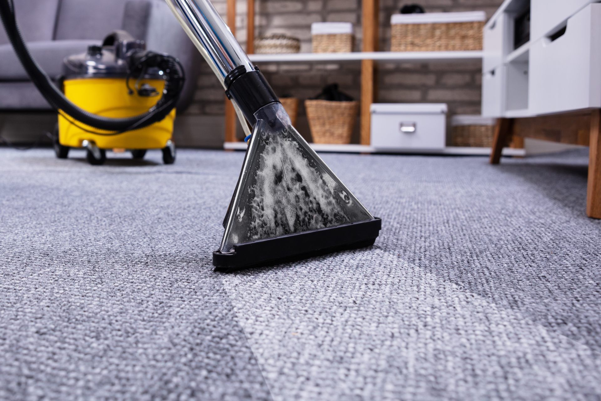 Carpet cleaner head on gray carpet in a living room, with a yellow vacuum in the background