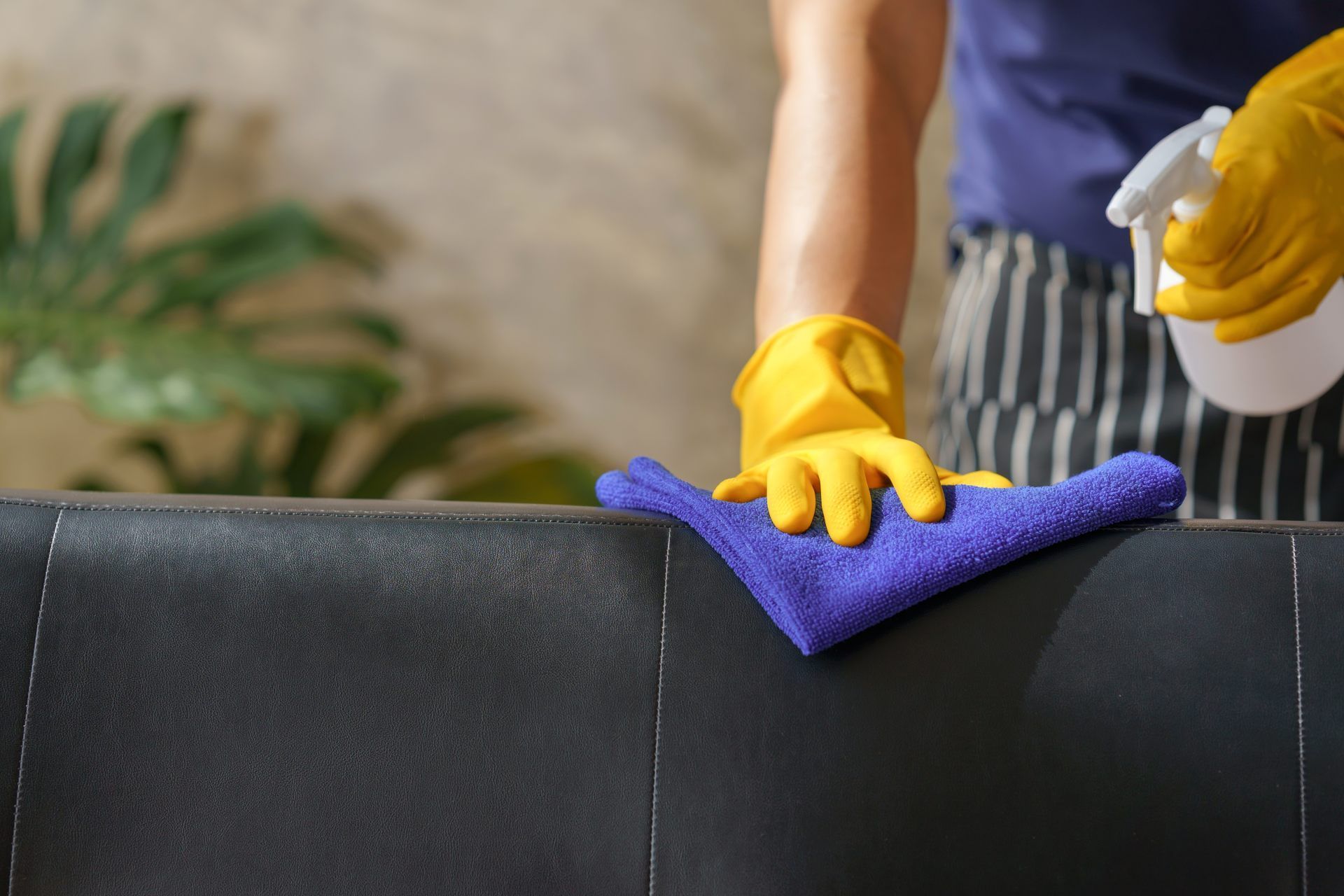 Person wiping a black sofa with a purple cloth while wearing yellow gloves