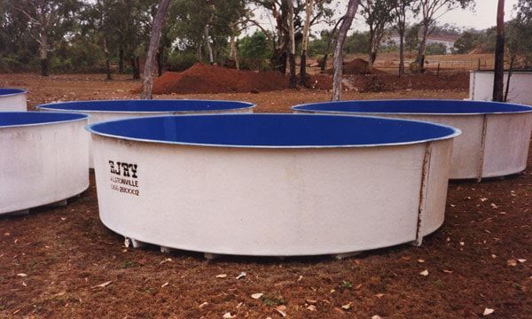 A row of white and blue swimming pools with the word lite on the side