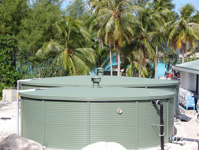 A large green water tank is surrounded by palm trees.