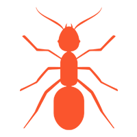 Carpenter Ants — North Fort Myers, FL — My Pest Friend Carpenter Ants — North Fort Myers, FL — My Pest Friend