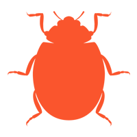 Carpet Beetles — North Fort Myers, FL — My Pest Friend Carpet Beetles — North Fort Myers, FL — My Pest Friend