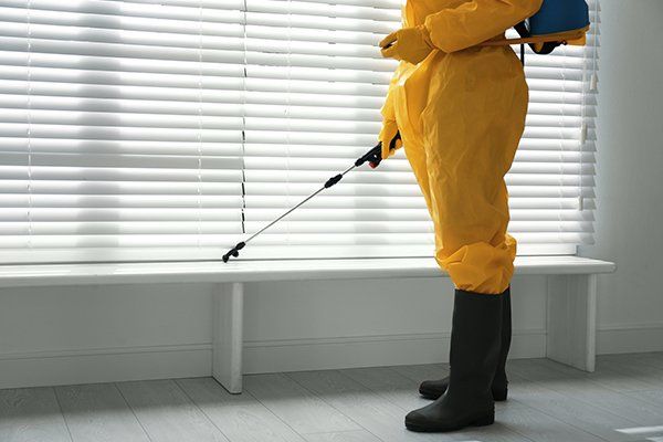 Male Worker in Protective Suit Spraying Insecticide — North Fort Myers, FL — My Pest Friend Male Worker in Protective Suit Spraying Insecticide — North Fort Myers, FL — My Pest Friend