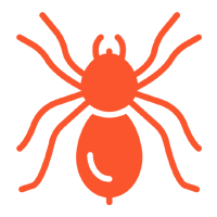 Wolf Spiders — North Fort Myers, FL — My Pest Friend Wolf Spiders — North Fort Myers, FL — My Pest Friend