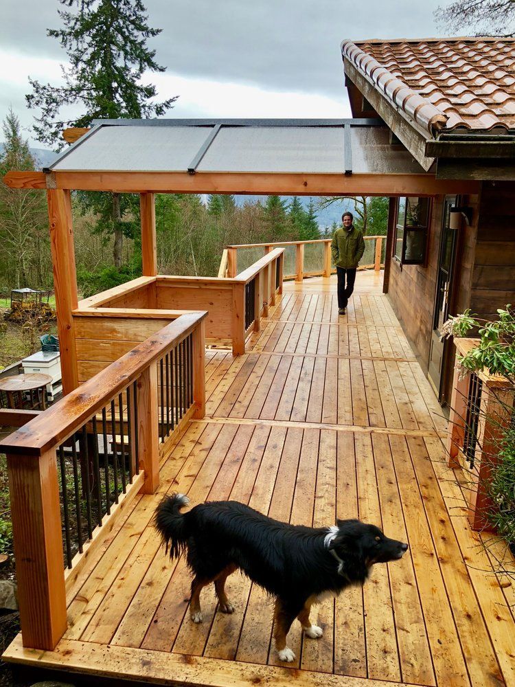 Dog on a wooden deck with a person walking towards a covered section, surrounded by trees.