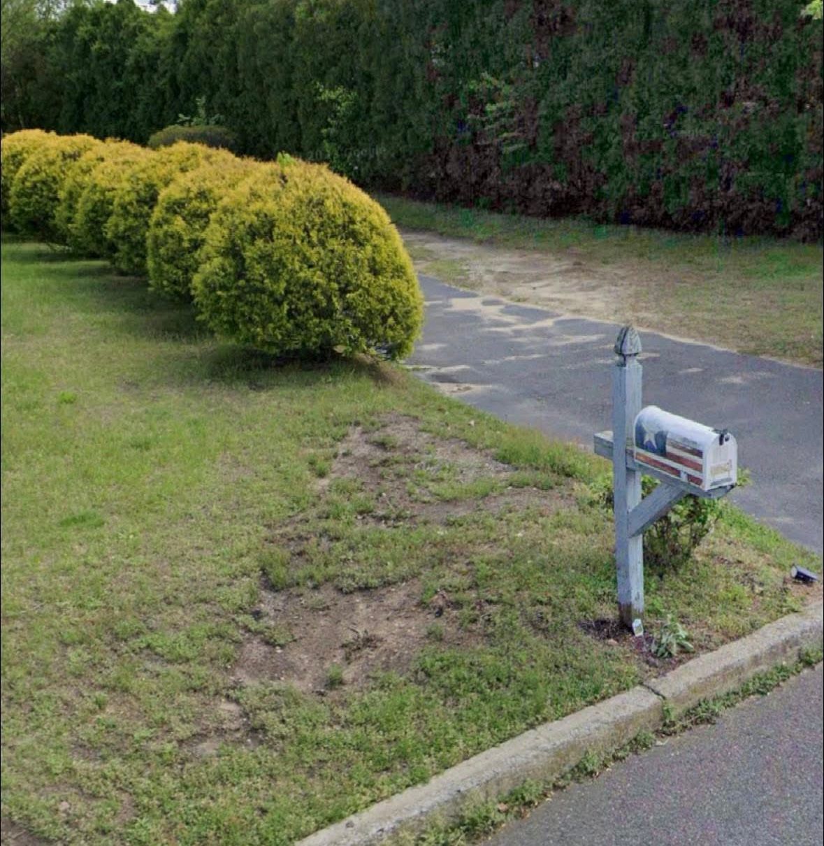 Green lawn with shrubs, mailbox, and paved driveway.