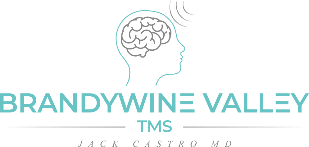 brandywine valley tms therapy treatment for Wilmington Delaware logo