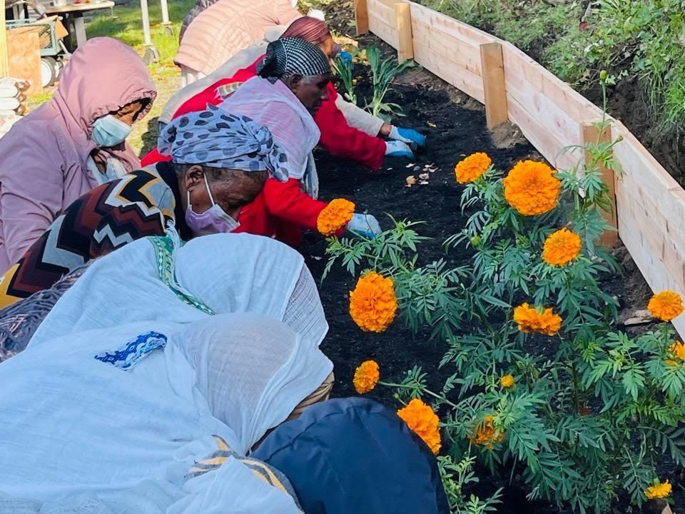 A group of people are planting flowers in a garden.