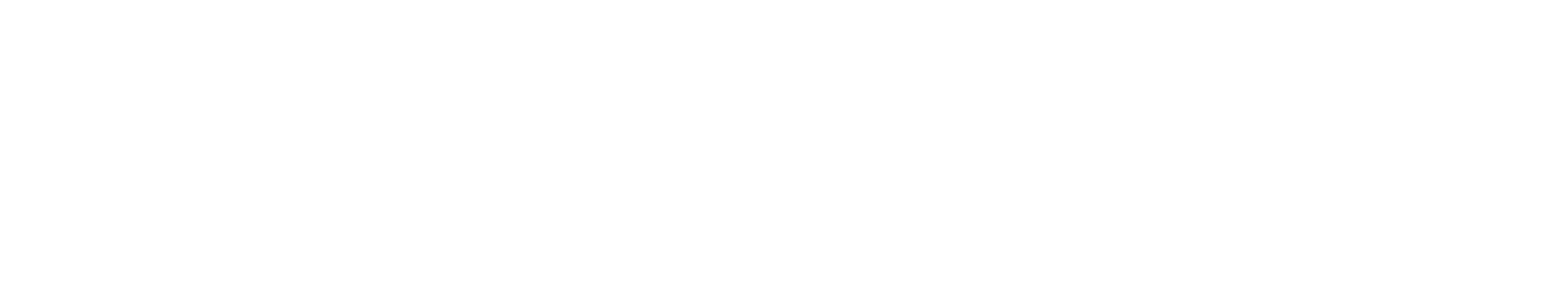 Frontier Swiss Logo
