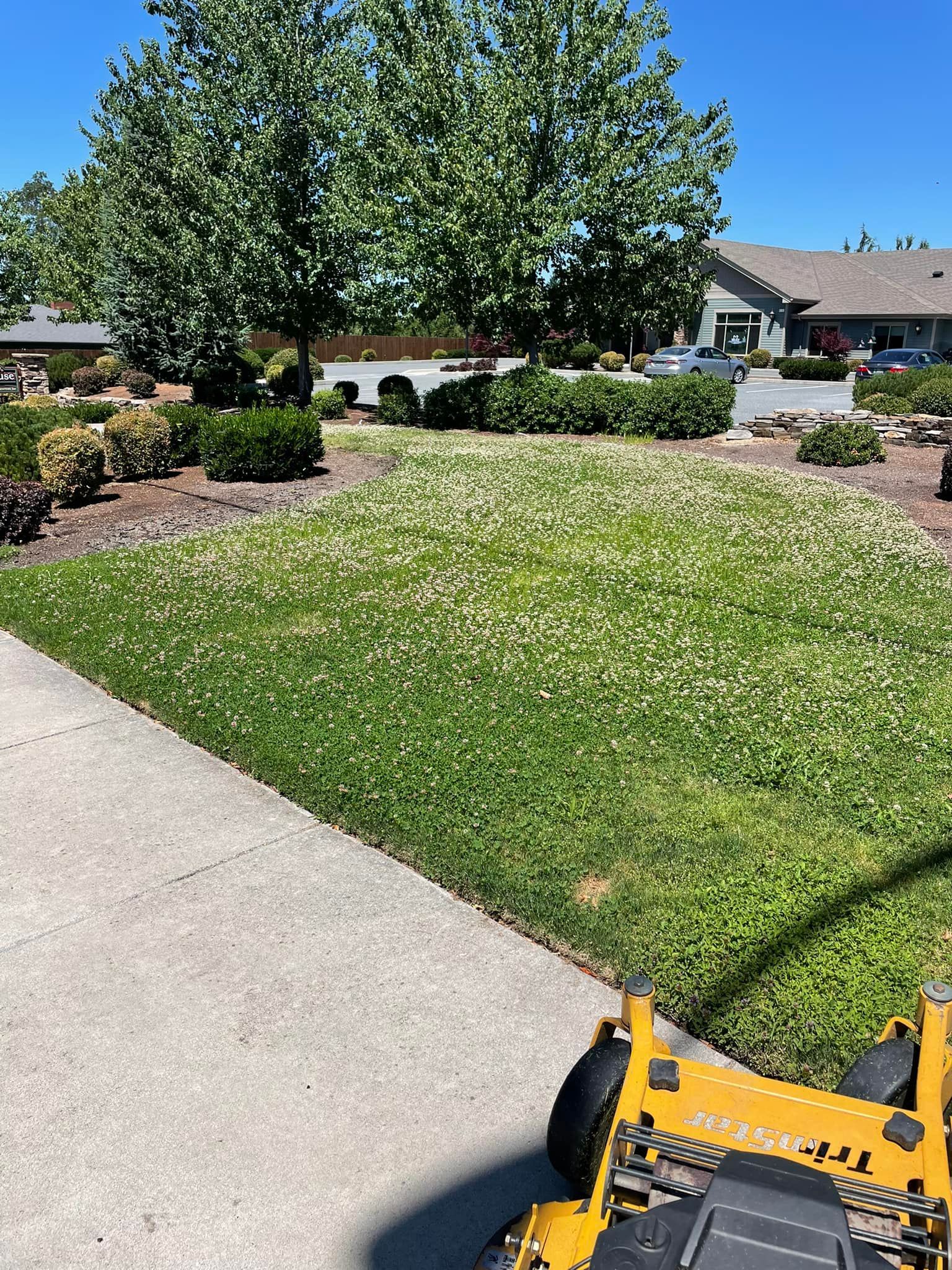 A yellow lawn mower is parked in front of a lush green lawn.