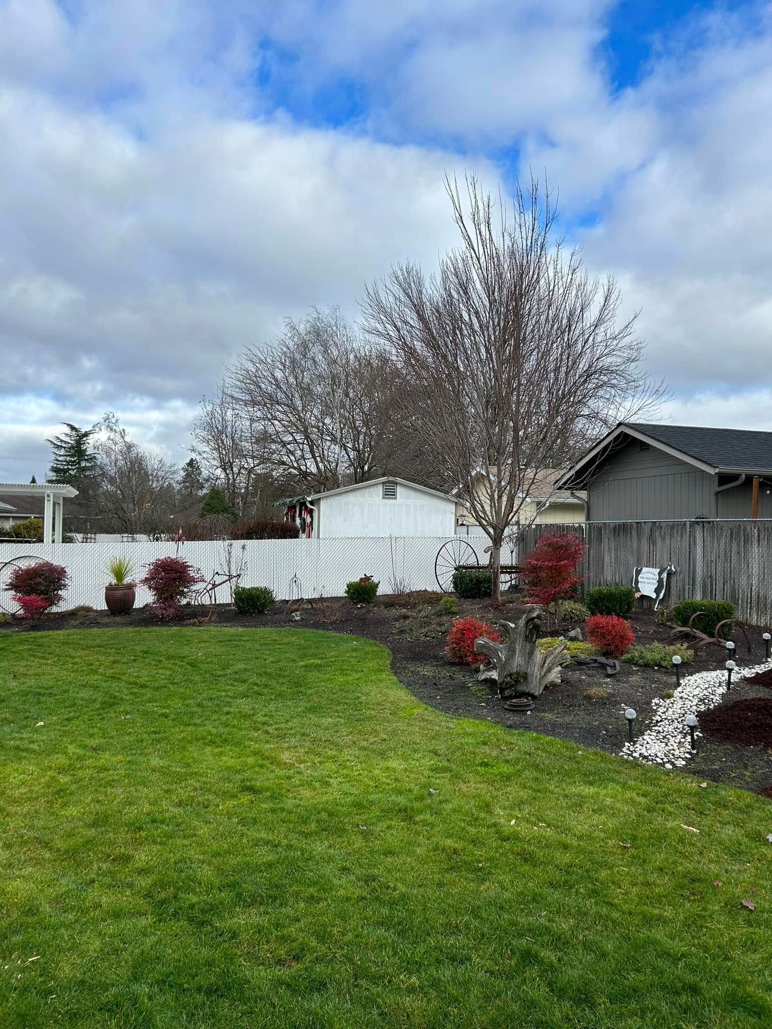 A lush green yard with a white fence and a house in the background.