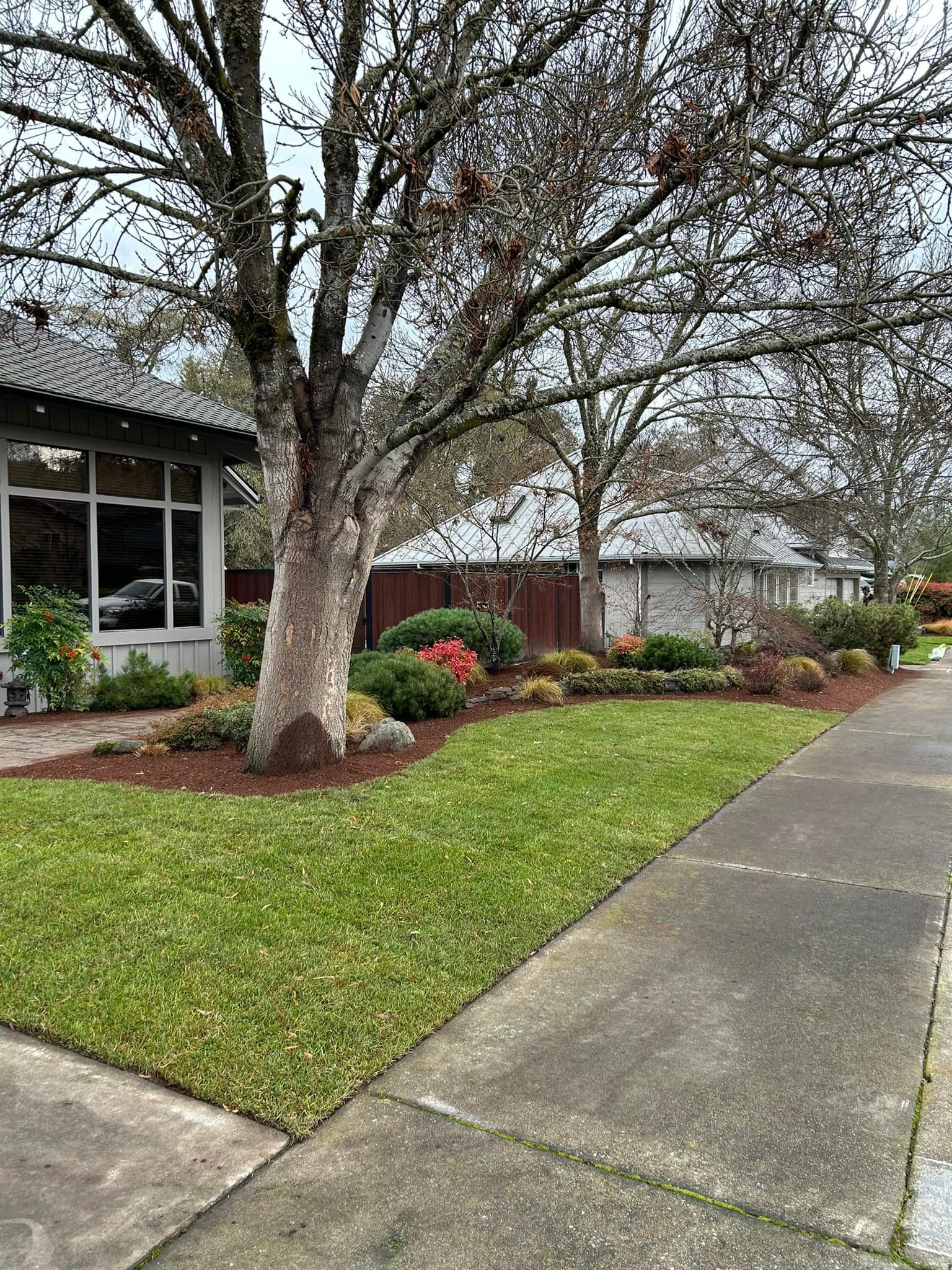 A house with a lush green lawn and a sidewalk in front of it.