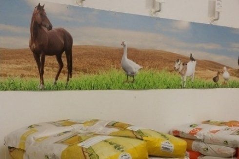mangimi animali