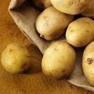 patate da seme