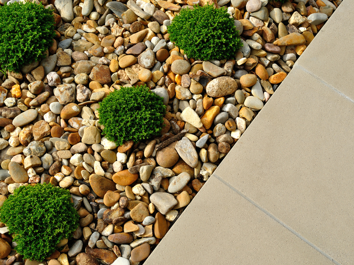 A pile of rocks and plants next to a sidewalk