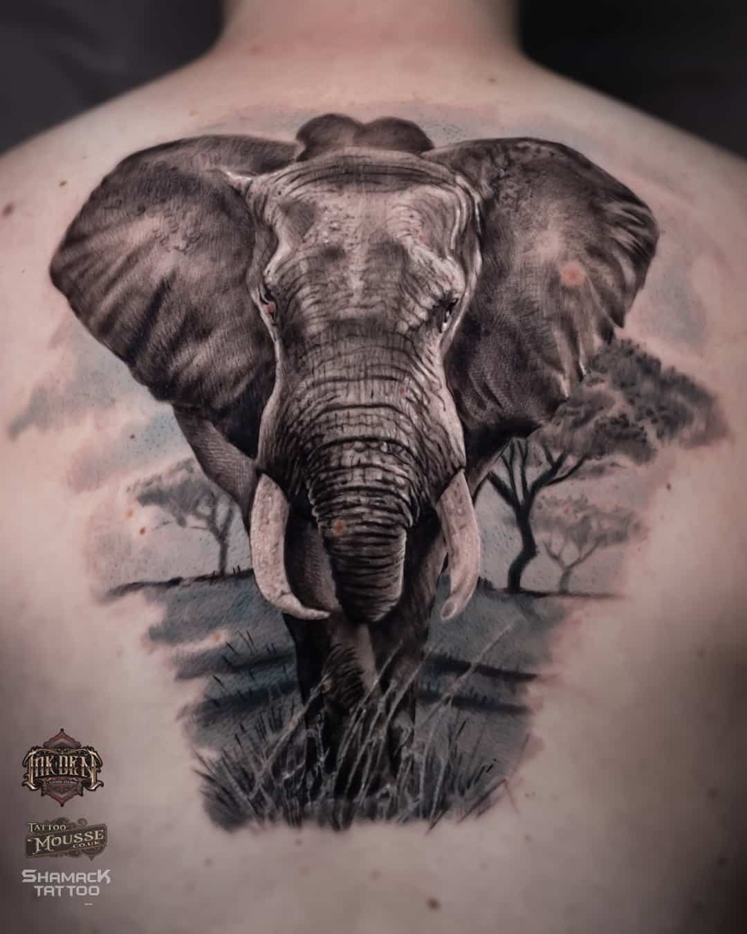 Black-and-gray elephant tattoo with tusks centered on a person’s upper back, with savanna trees behind it