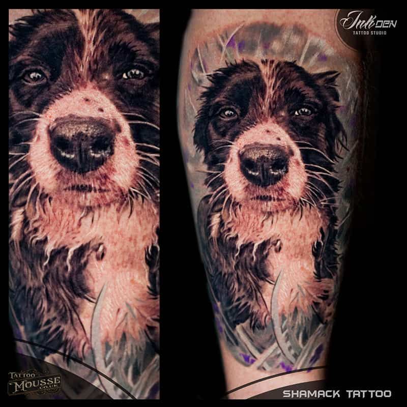 Two arm tattoos of a black-and-white puppy portrait with soft feathered background accents