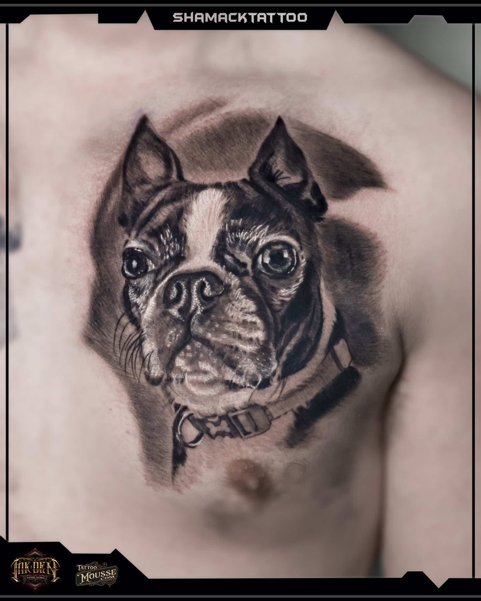 Black-and-gray tattoo of a French bulldog portrait on skin, with a collar and shaded background