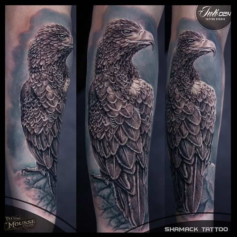 Three-panel black-and-gray tattoo of a detailed eagle perched on a branch with cloudy background
