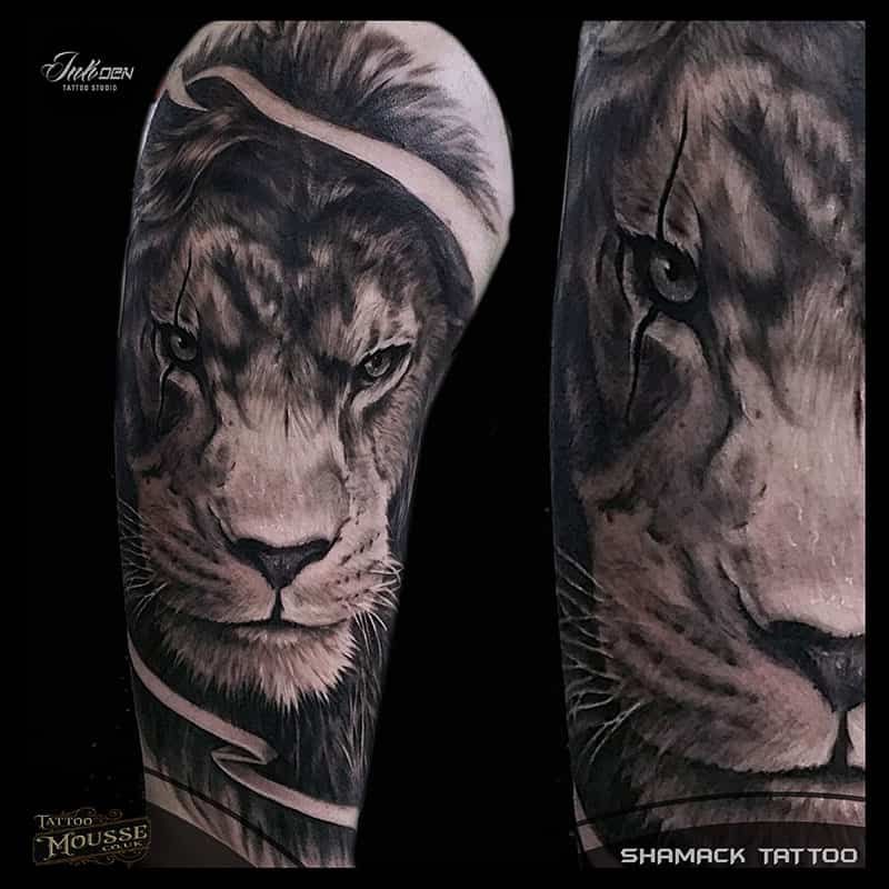Two forearm lion tattoo designs in grayscale, one centered with a bandage motif and one close-up lion face.