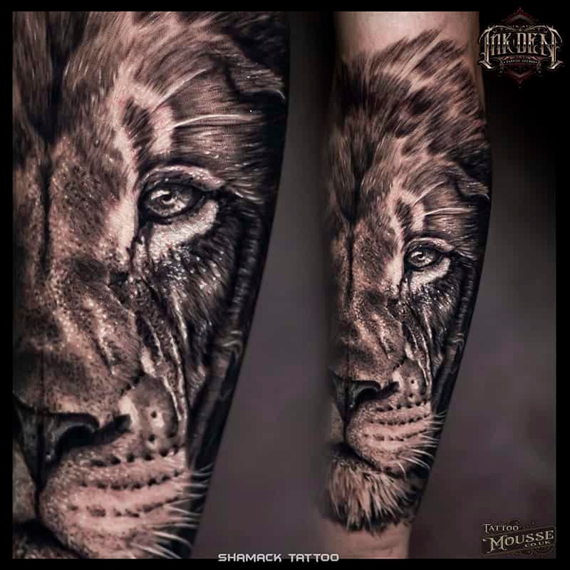 Tattoo design of a realistic lion face split across two forearms in black and gray.