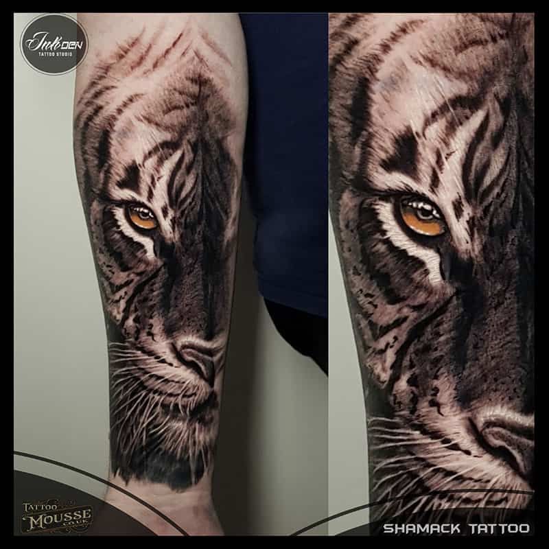 tiger colour eyes forearm black and gray tattoo Done at Inkden Tattoo Studio by Shamack Malachowski Blackpool best shop and Tattoo Mousse