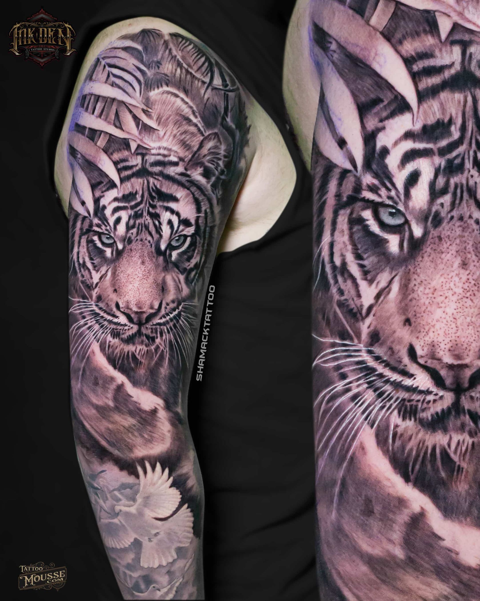 Black-and-gray tiger tattoo on an upper arm, shown from two angles in close-up.