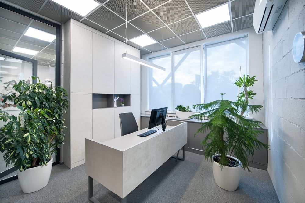 A Modern Office With a Desk, Chair, Computer and Potted Plants — PKJ Designs in Unanderra, NSW