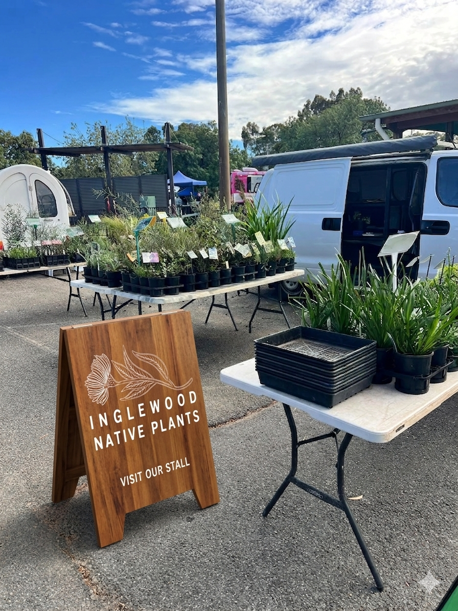 Outdoor plant market display with potted native plants and a wooden sign reading “Inglewood Native Plants”