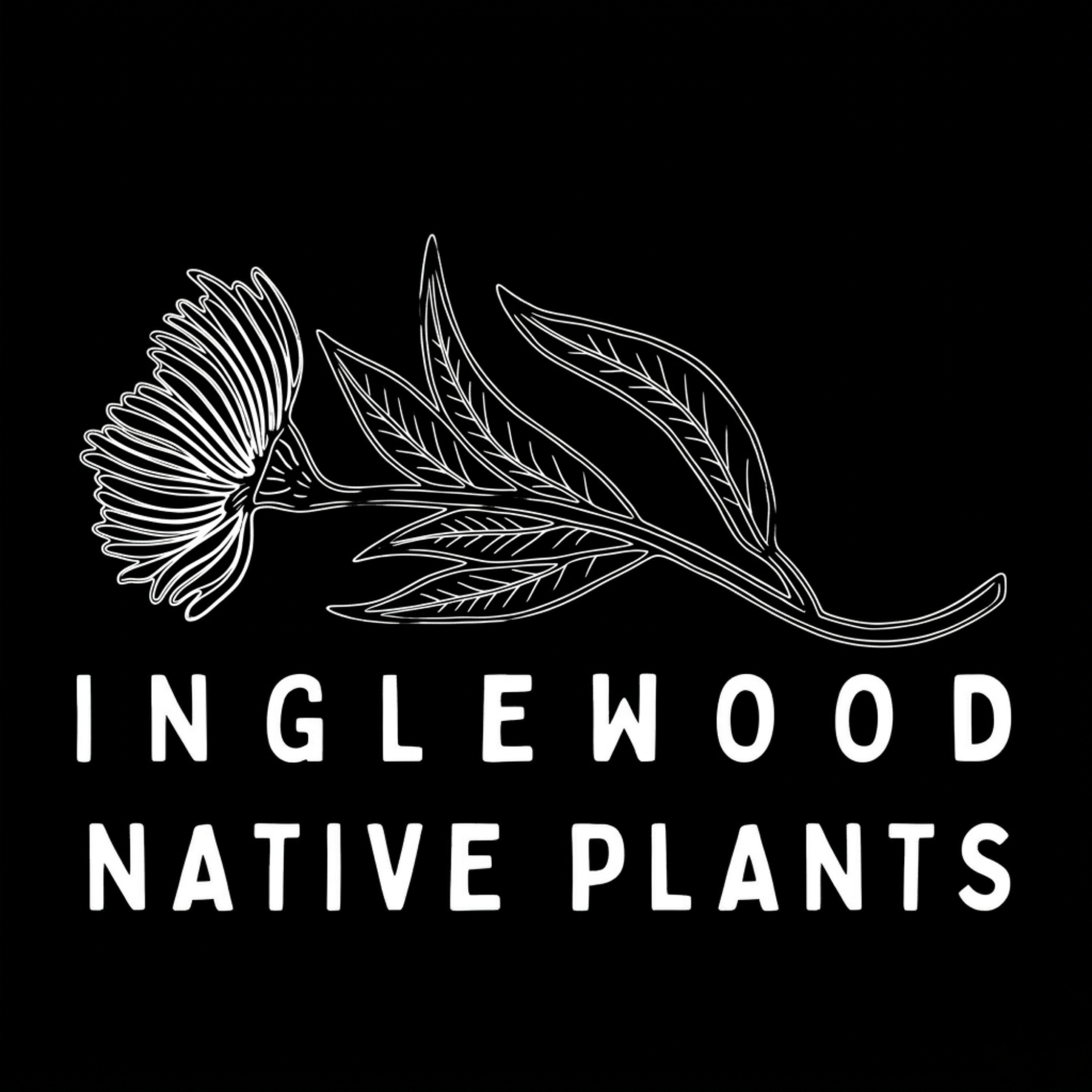 Inglewood Native Plants logo with white native flower and leaves on black background