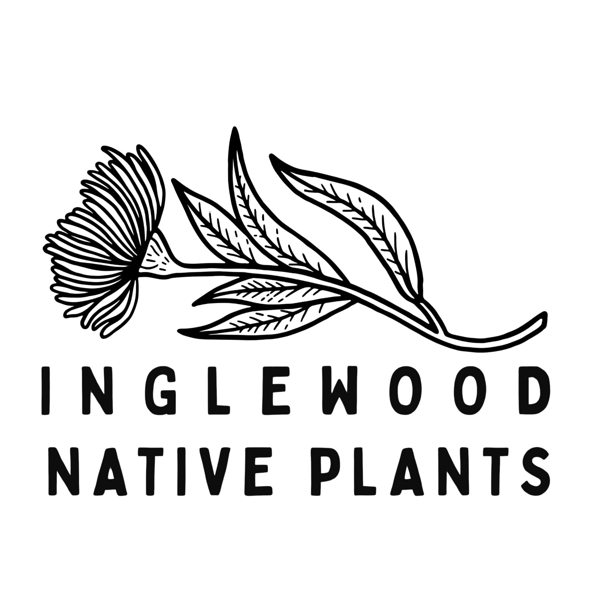 Black-and-white Inglewood Native Plants logo with stylized flower and leaves