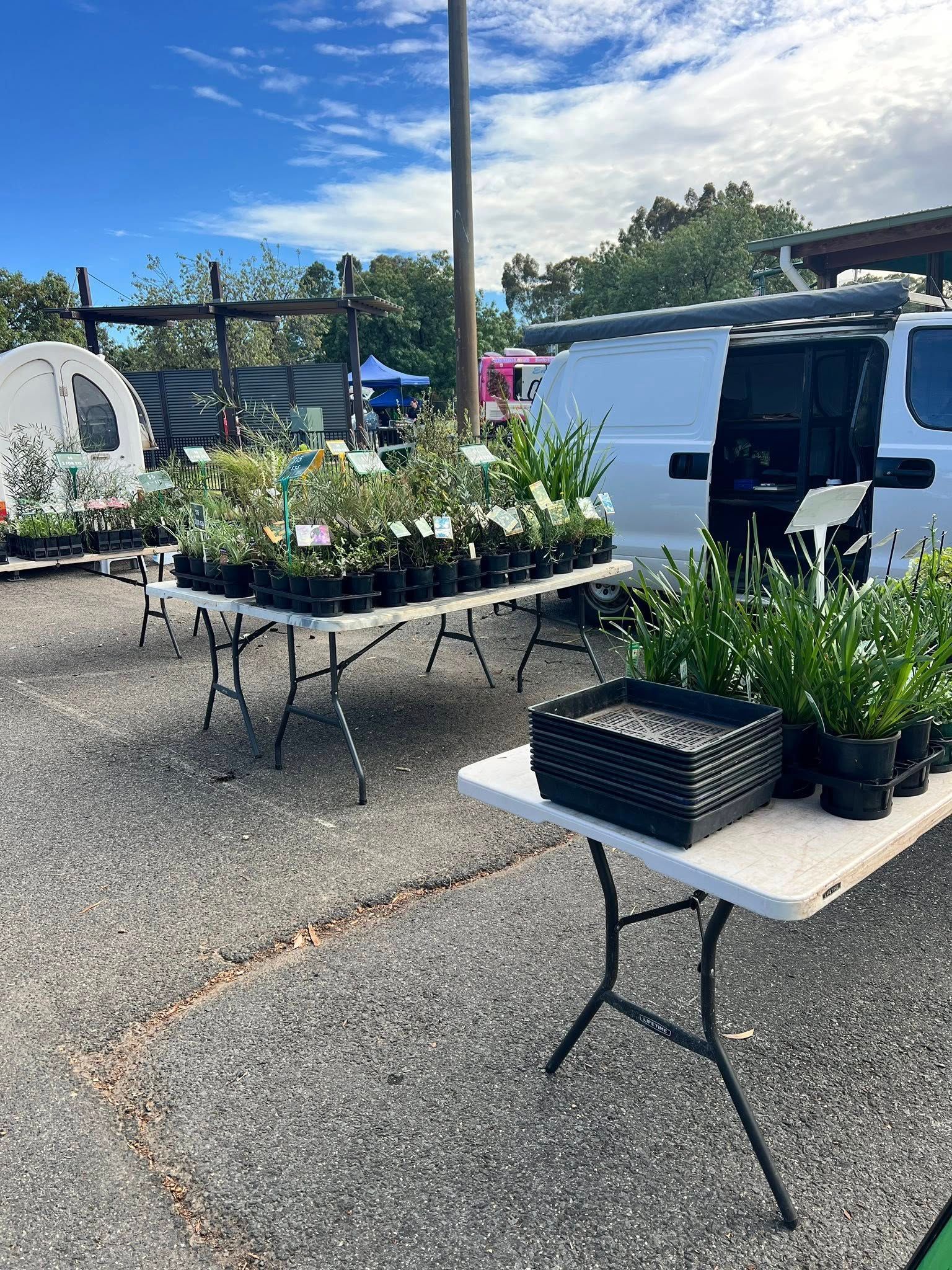 Outdoor plant sale with potted greenery on tables beside a white van in a sunny parking lot