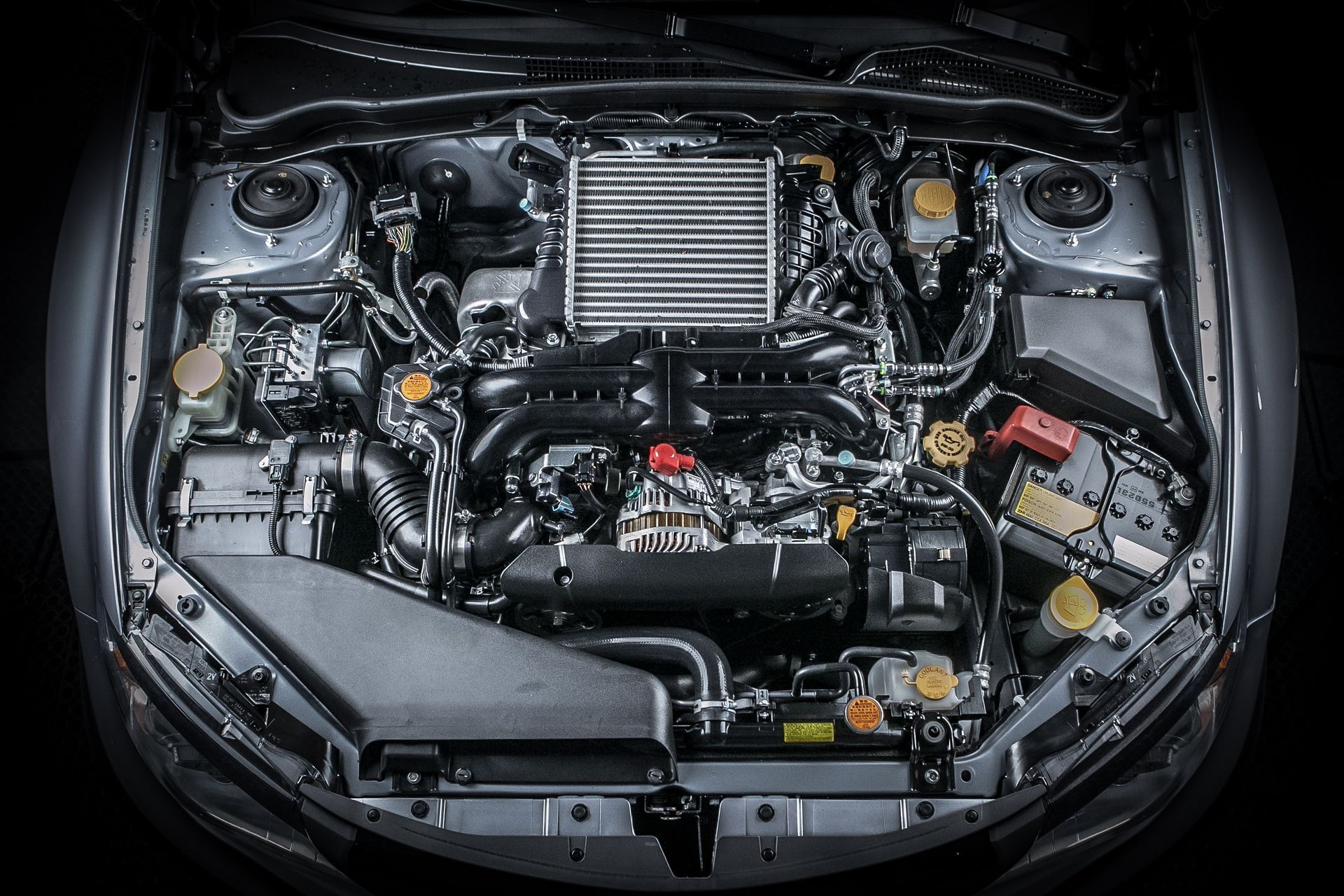 Buddy | Hamilton Hill, WA | Pebco Automotive Services
