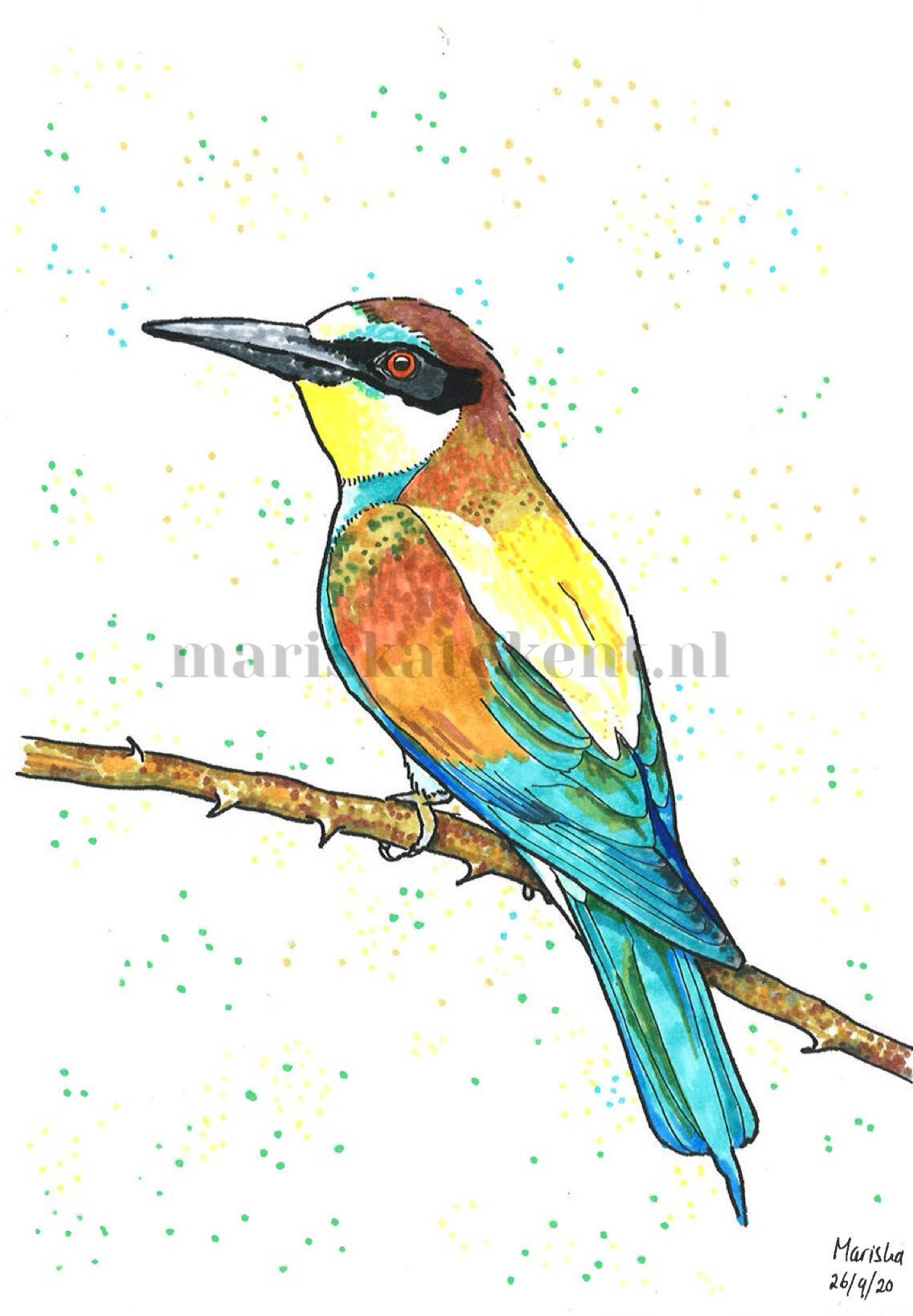 Tekening bijeneter Mariska