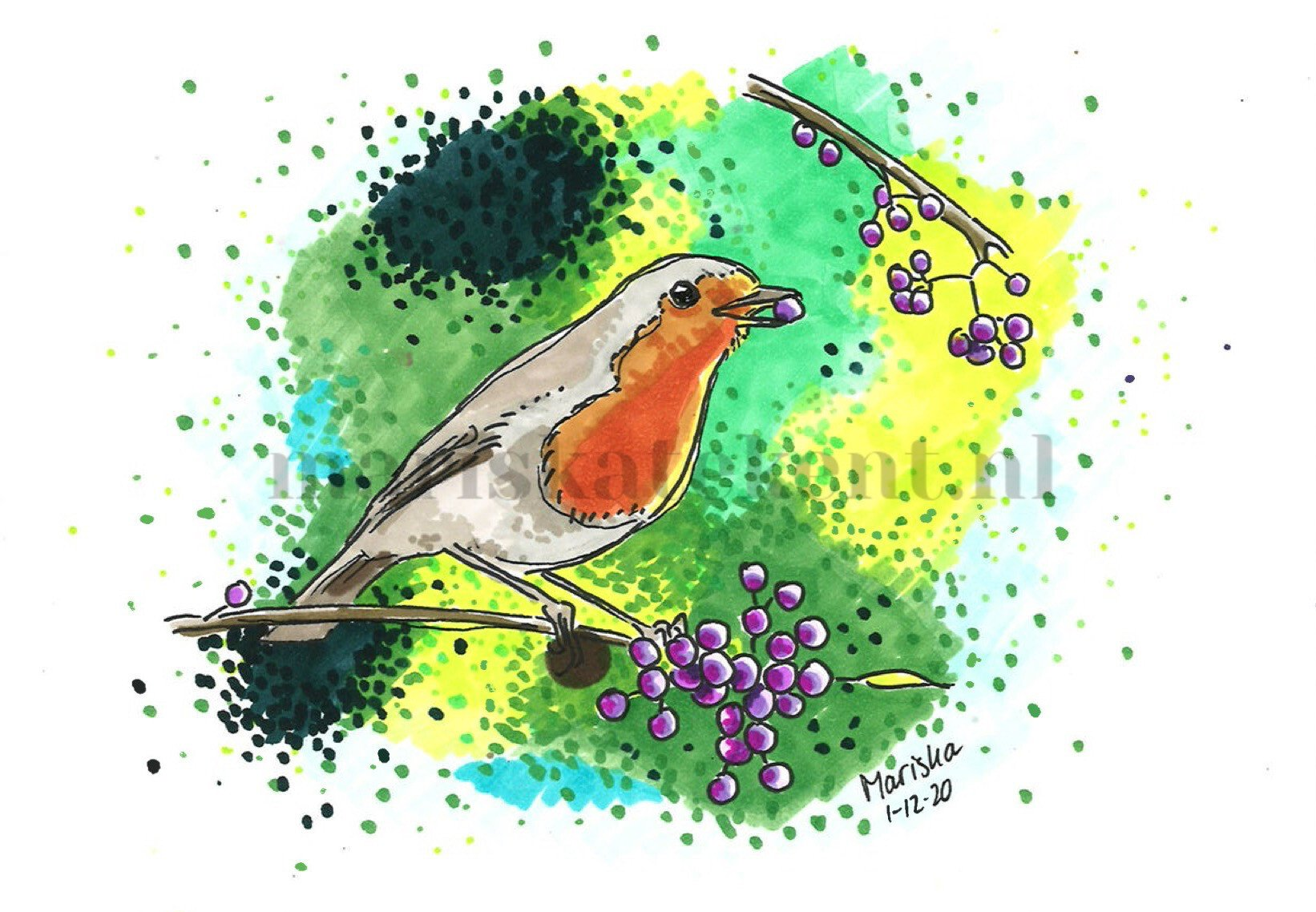 Tekening roodborstje bes Mariska