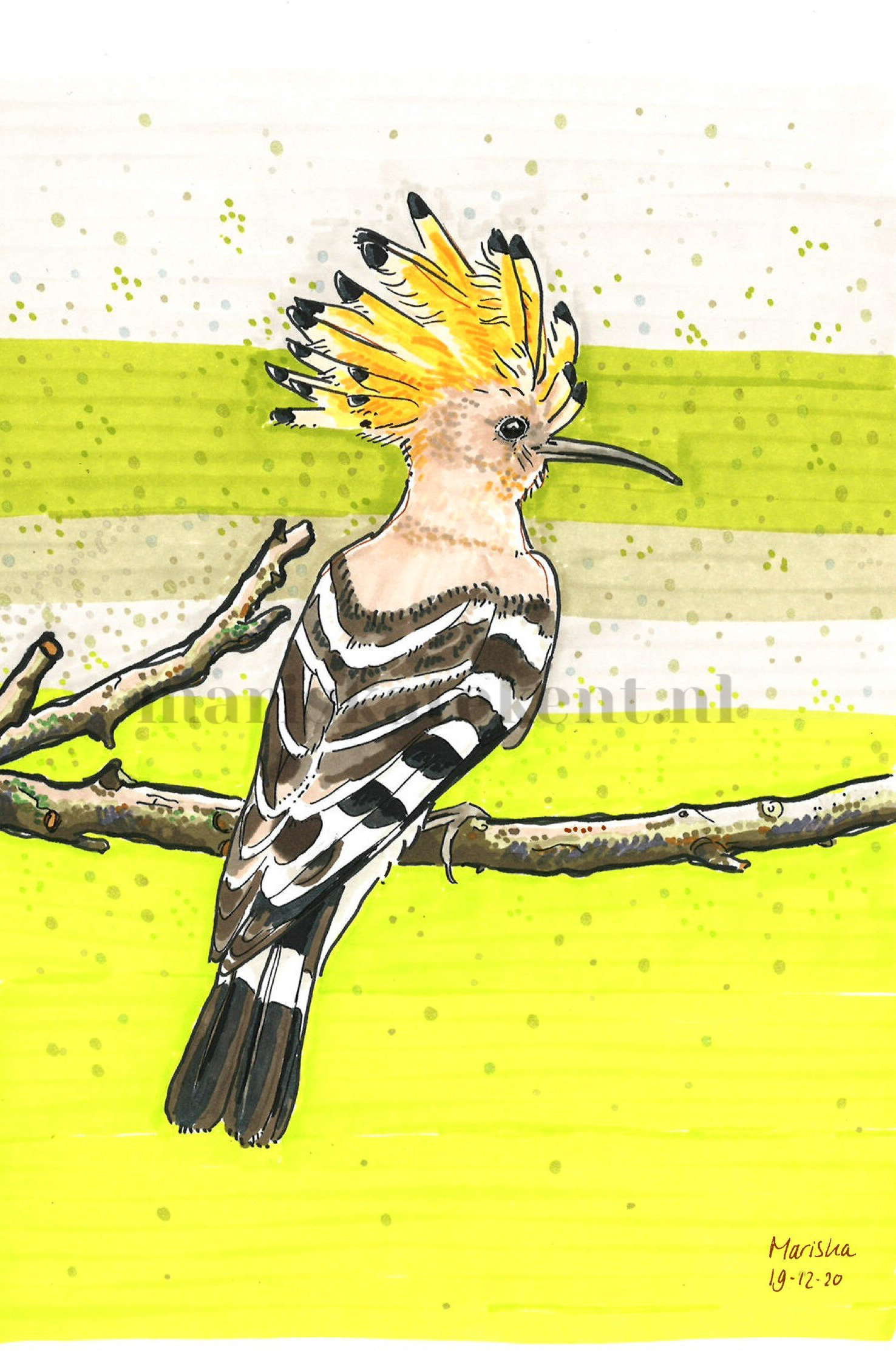 Tekening hop Mariska