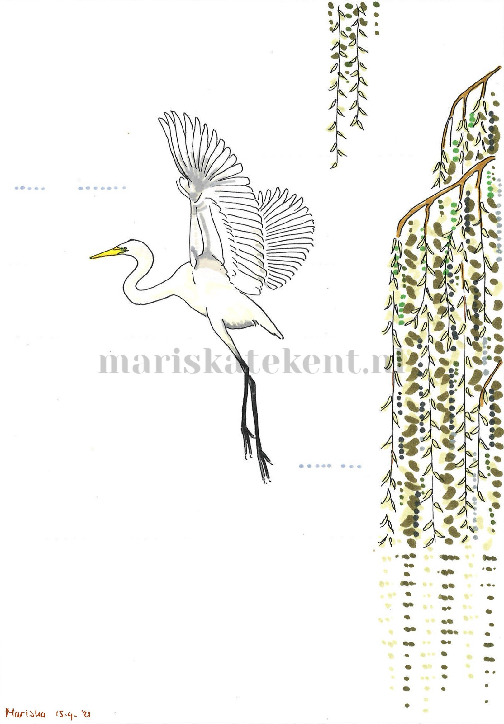 Tekening witte reiger wilg Mariska