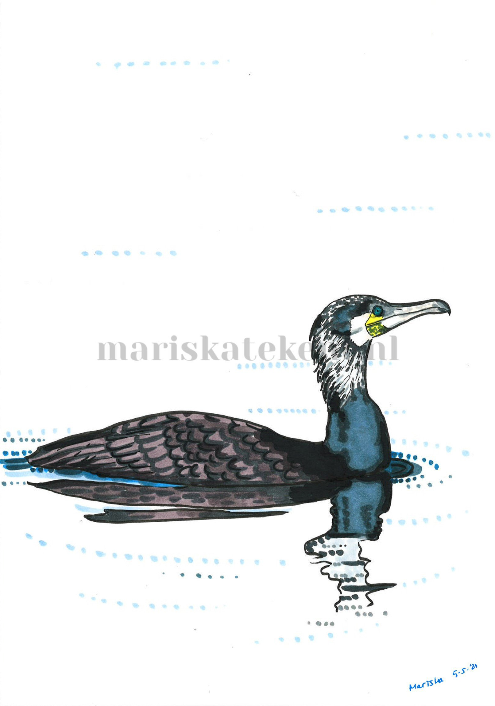 Tekening aalscholver Mariska