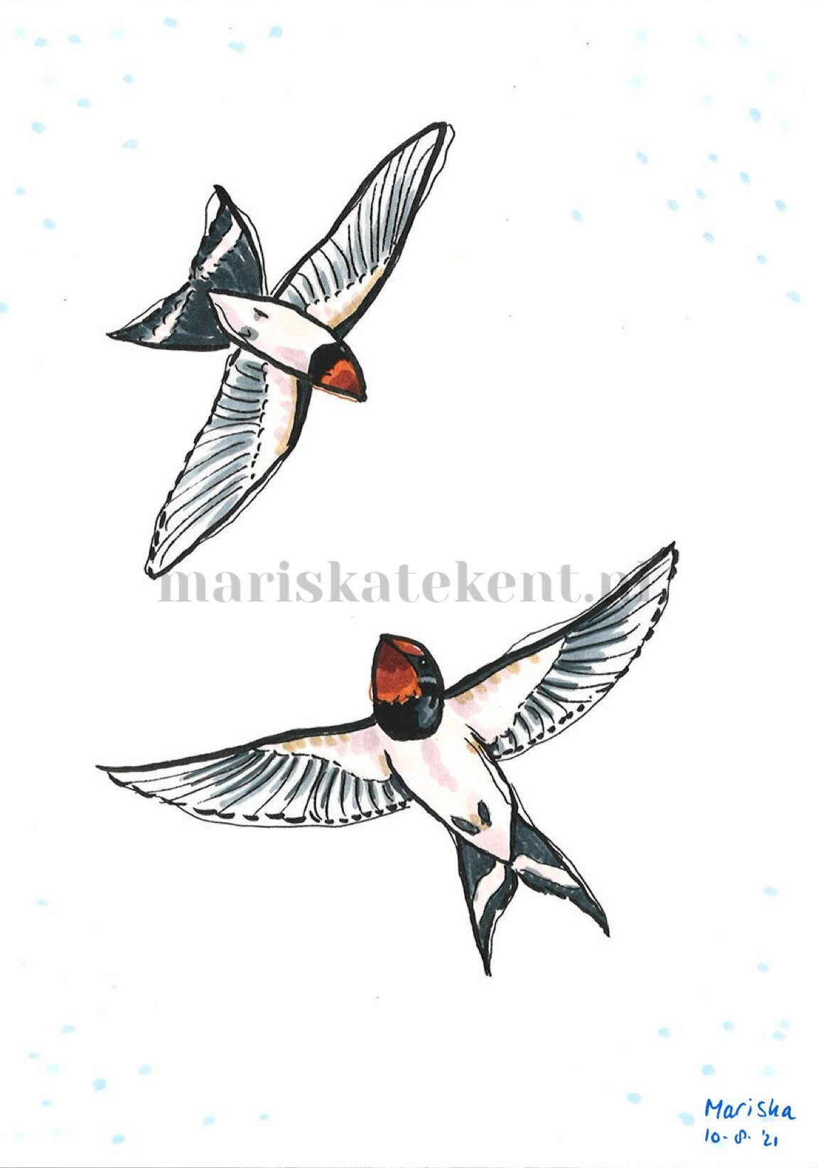 Tekening zwaluwen Mariska