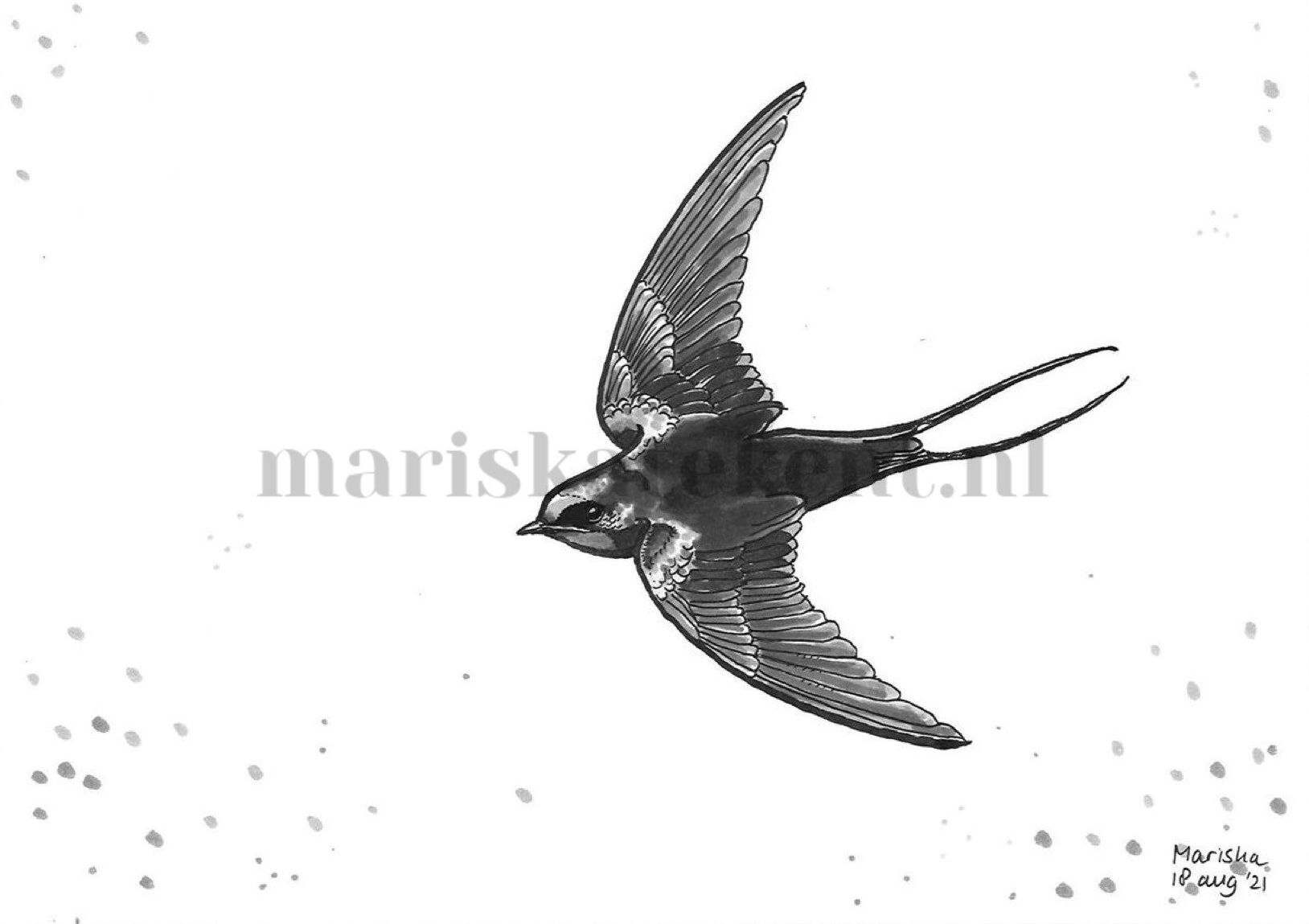 Tekening zwaluw Mariska