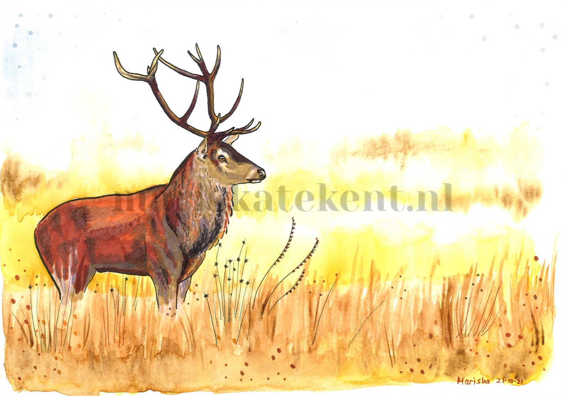 Tekening Edelhert mariska tekent vos tijger ree das