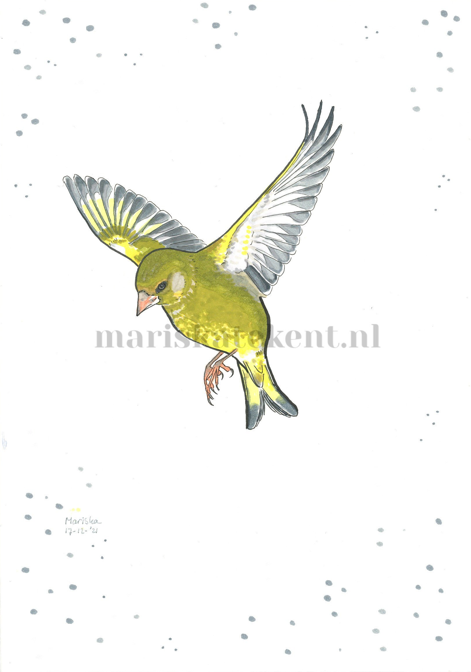 Tekening groenling Mariska