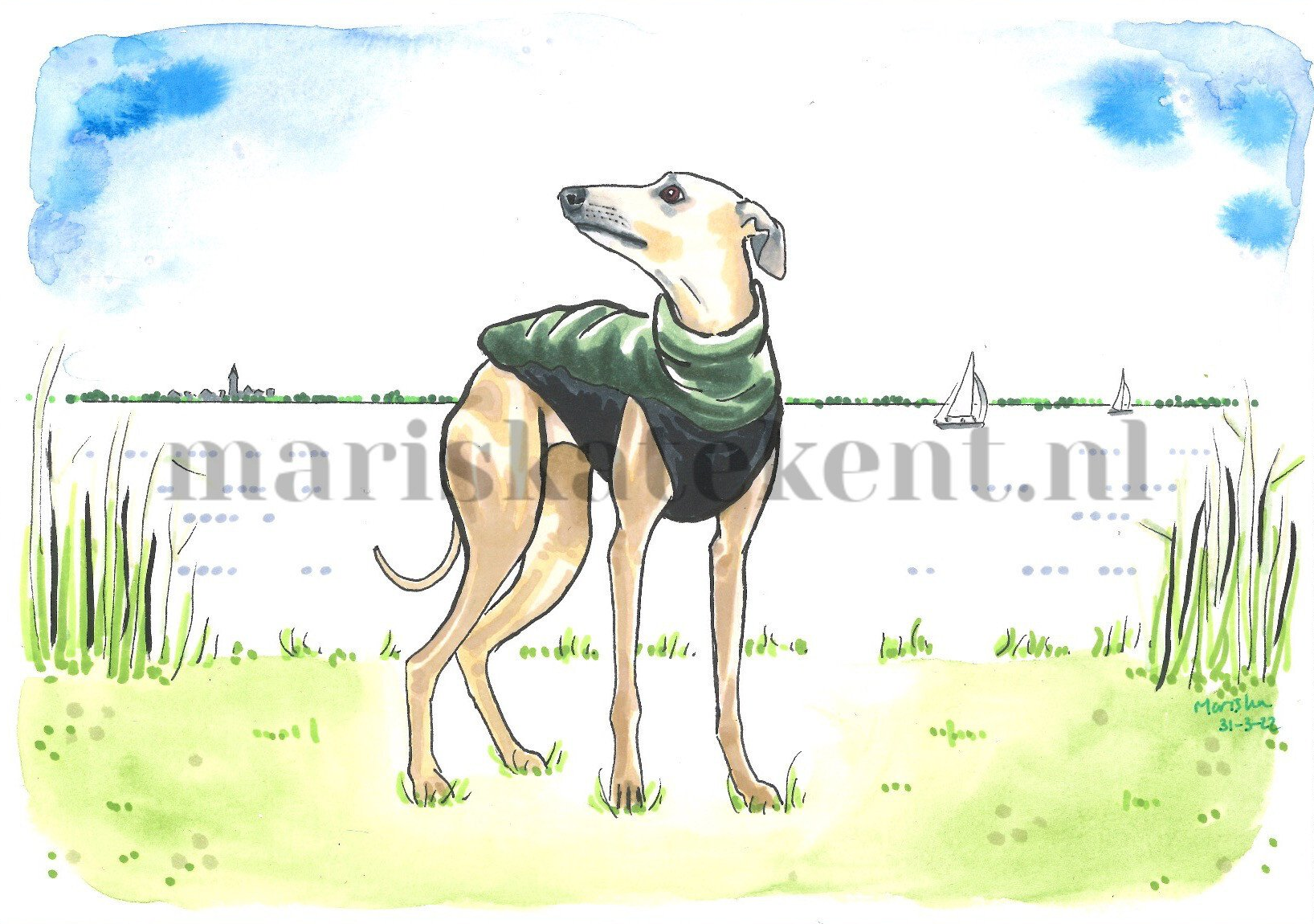 Mariska tekent tekening hond Whippet jasje