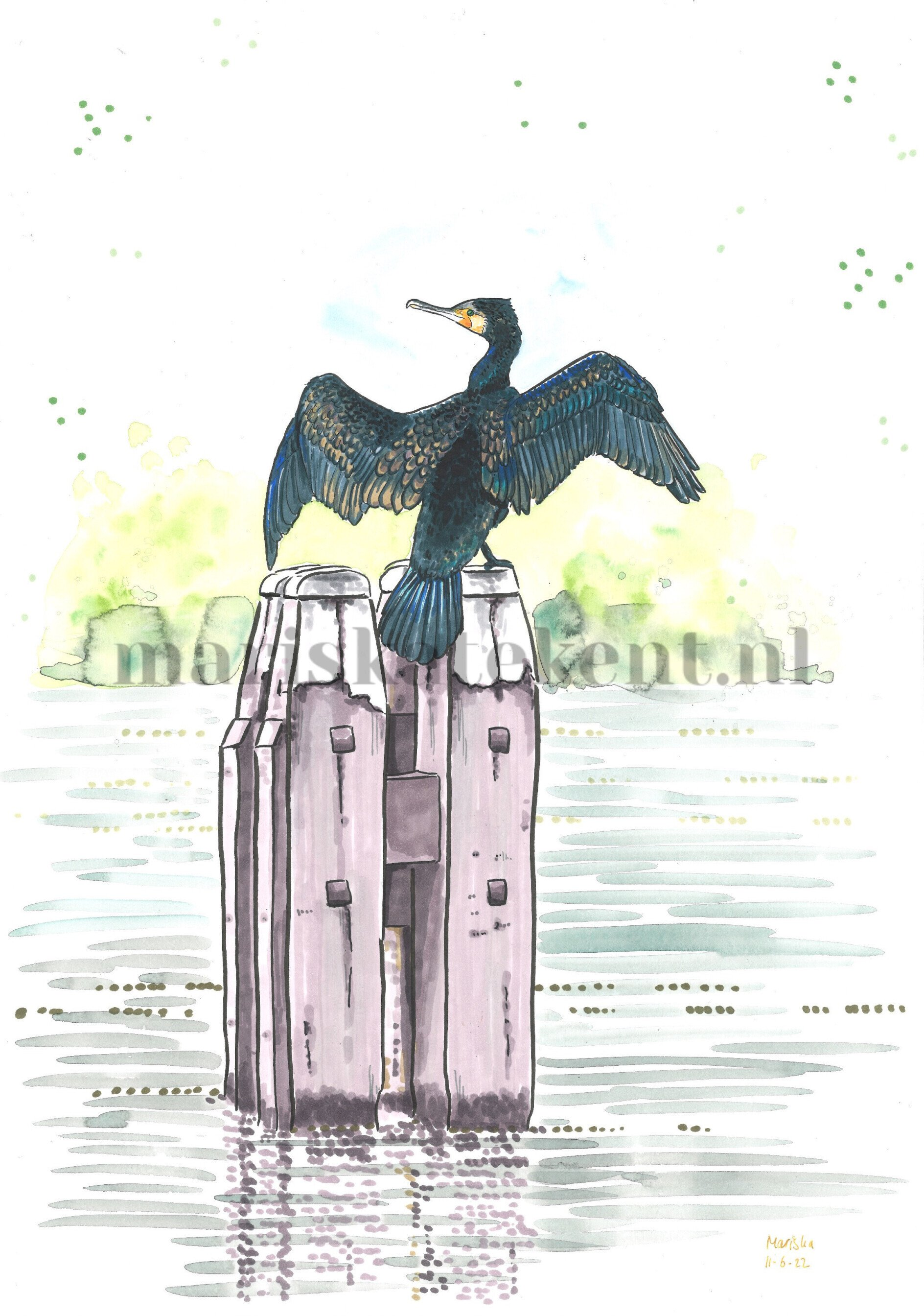 Tekening aalscholver op meerpaal Mariska