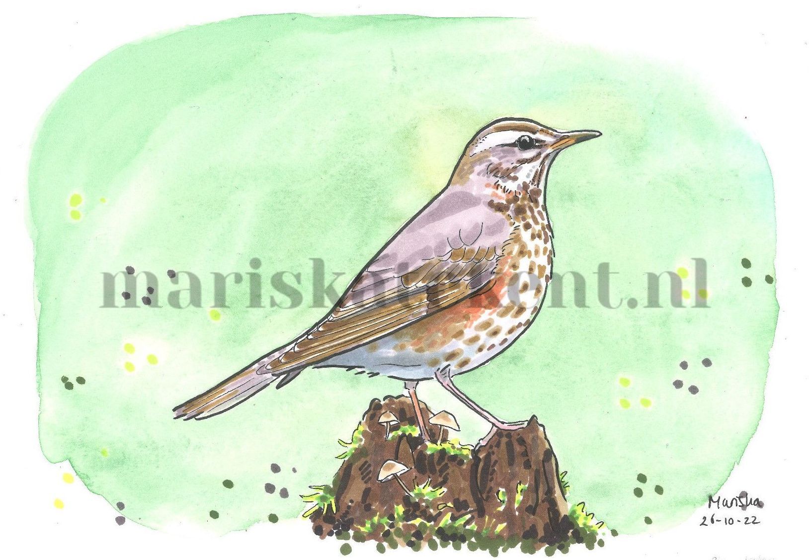 Tekening koperwiek Mariska