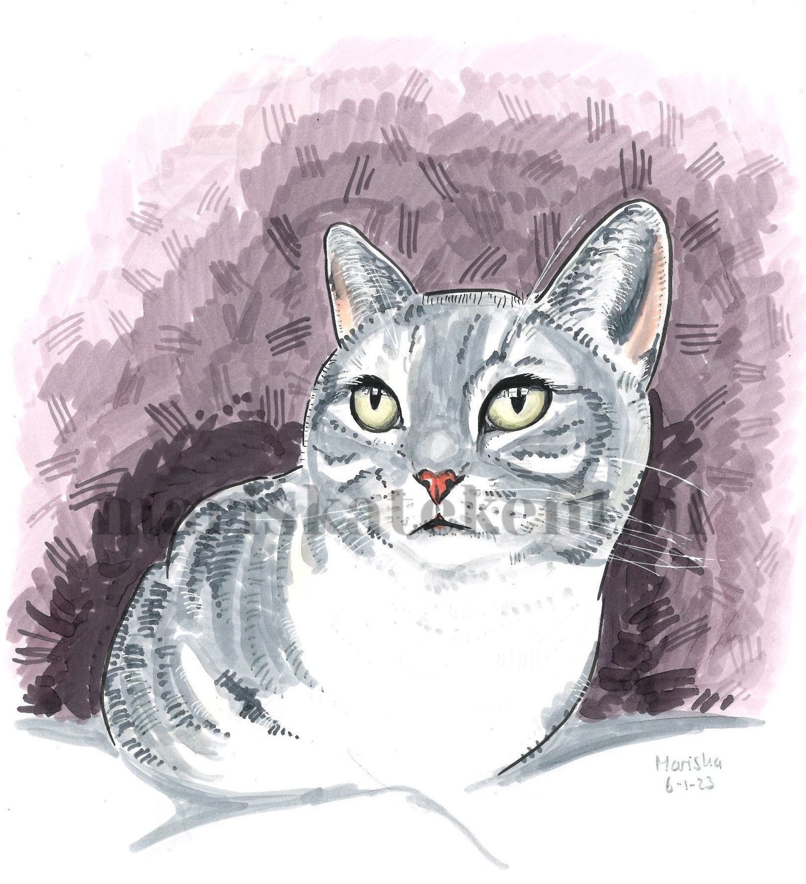 Tekening poes Mariska