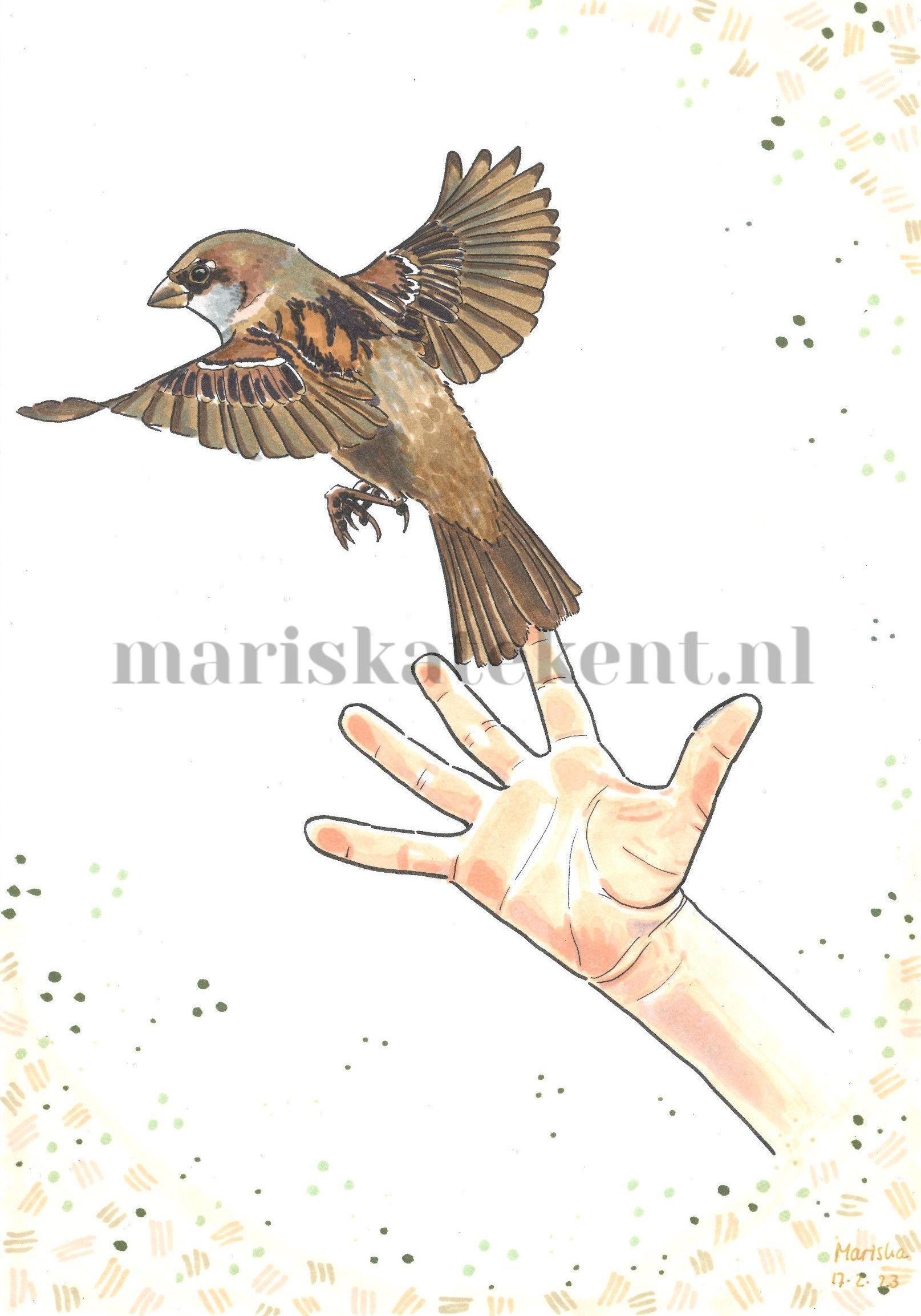 Tekening musje vrijlaten hand Mariska