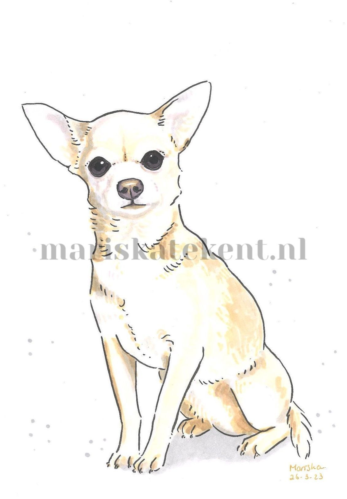 Chihuahua hondje mariska tekent tekening