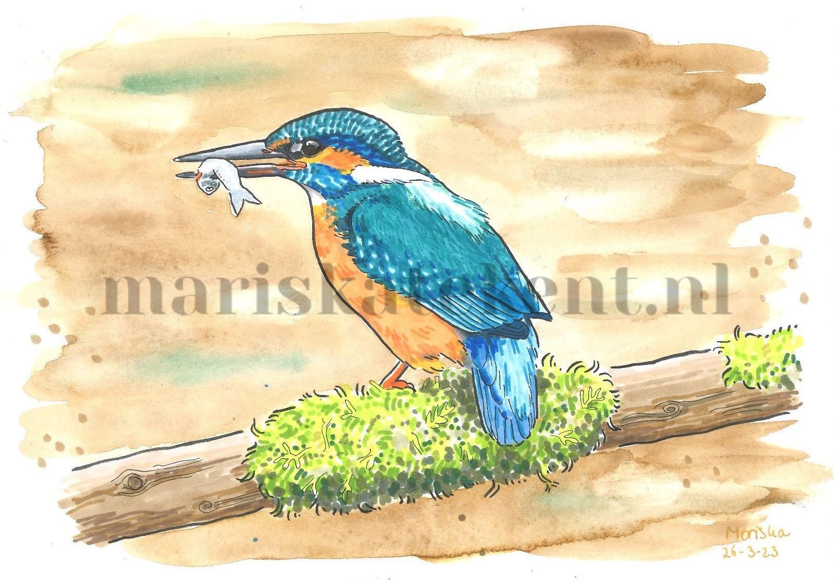 Ijsvogel tekening Mariska tekent